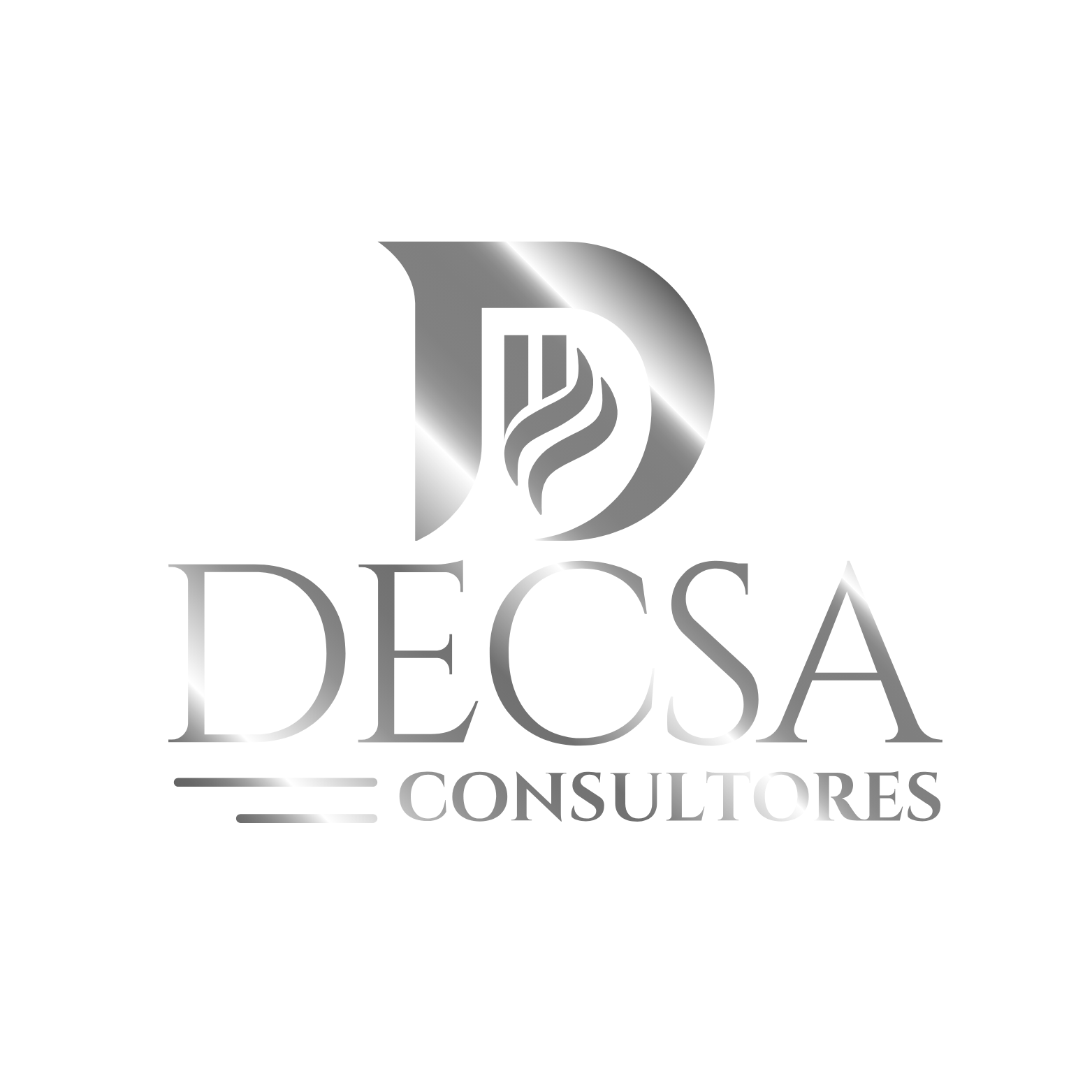 DECSA Consultores